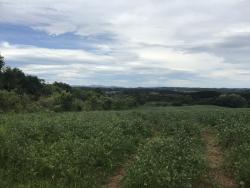 #13 - Área para Venda em Fazenda Rio Grande - PR - 3