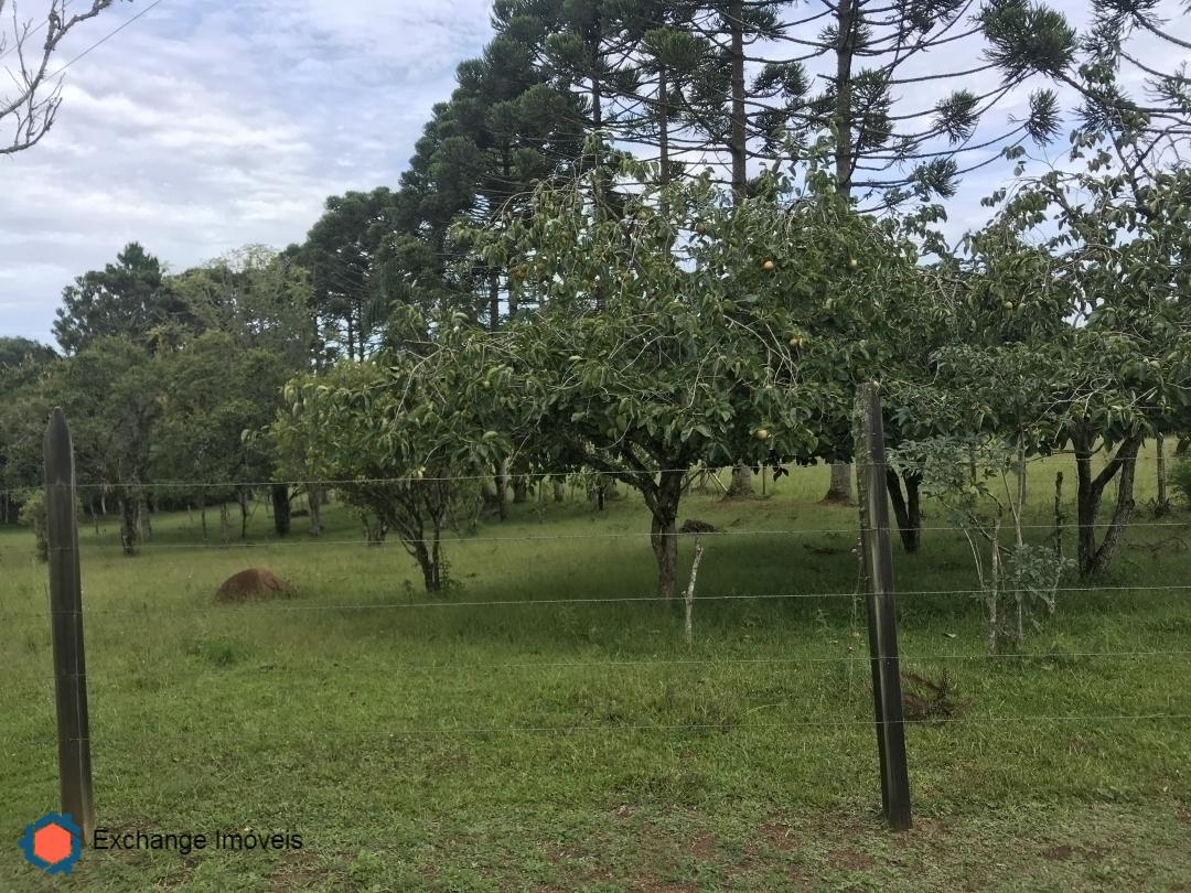 Terreno à venda, 58400m² - Foto 13