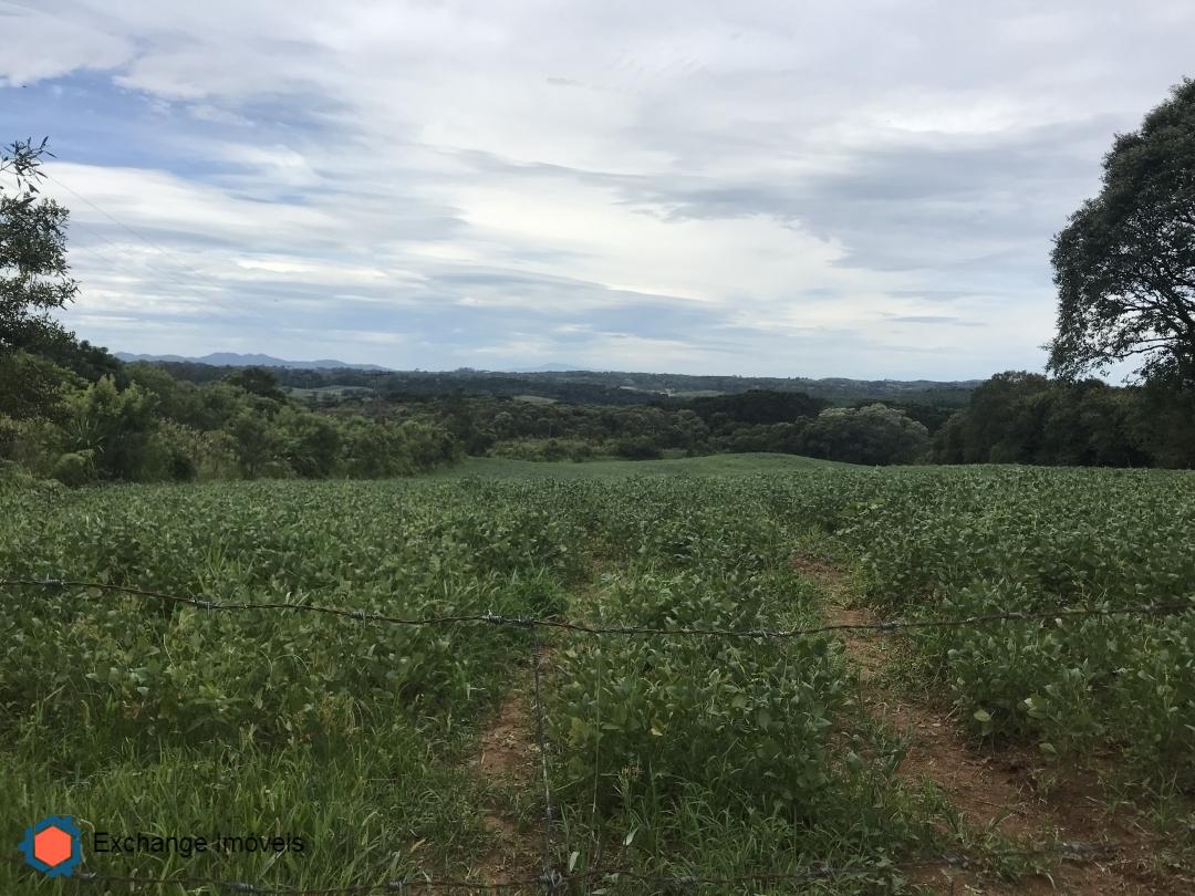 Terreno à venda, 58400m² - Foto 37