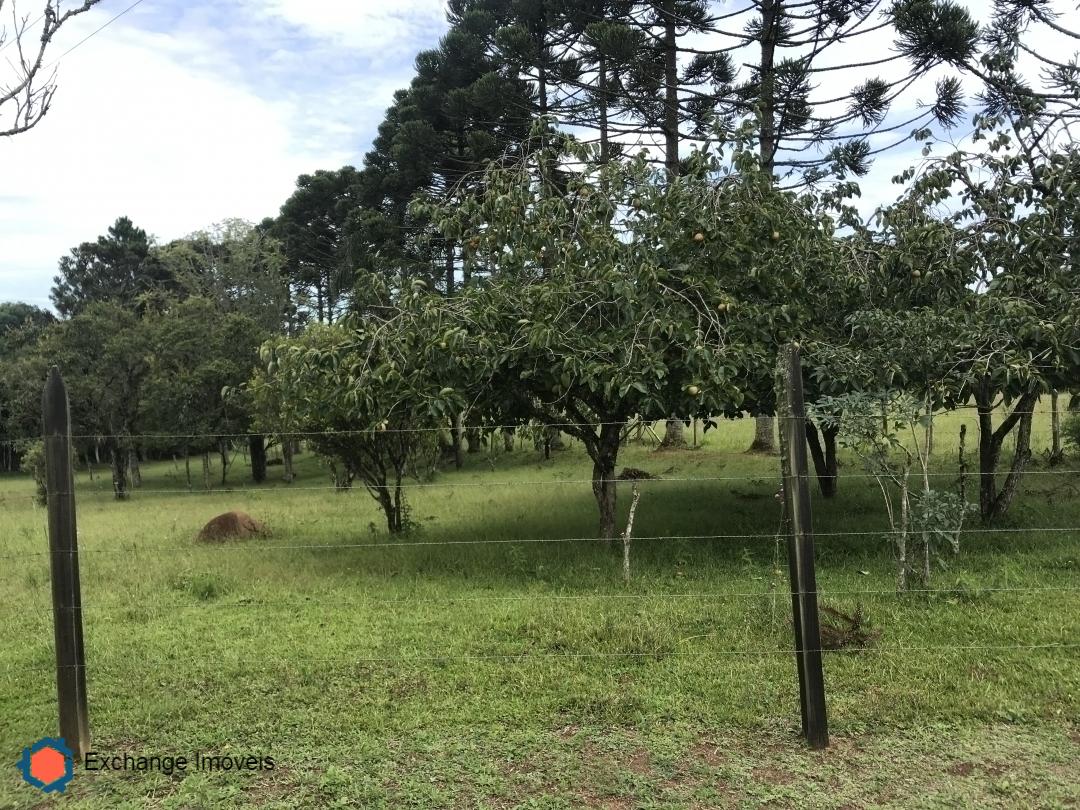 Terreno à venda, 58400m² - Foto 25