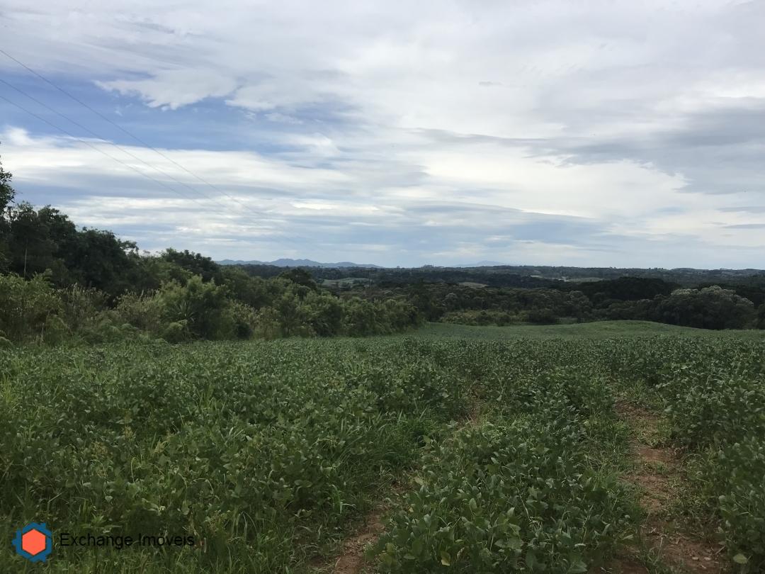 Terreno à venda, 58400m² - Foto 3