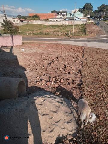 Terreno à venda - Foto 5