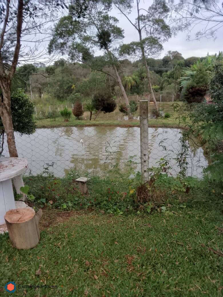 Fazenda à venda com 5 quartos, 10700m² - Foto 9