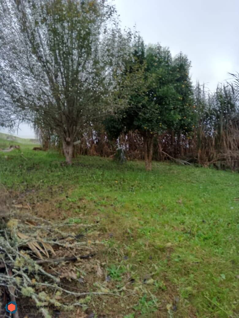 Fazenda à venda com 5 quartos, 10700m² - Foto 19