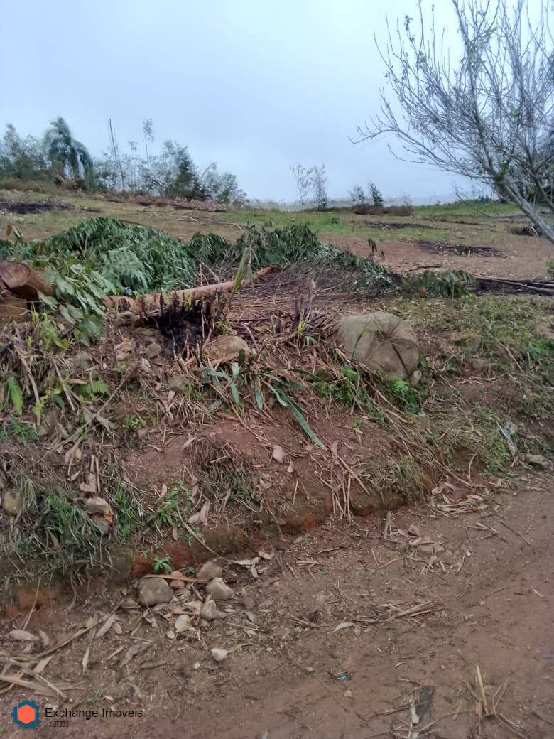 Fazenda à venda com 5 quartos, 10700m² - Foto 34