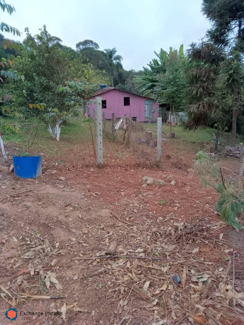 Fazenda à venda com 5 quartos, 10700m² - Foto 2